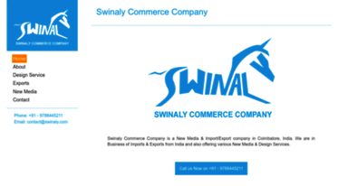 swinaly.com