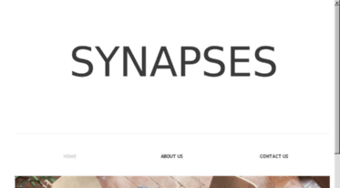 synapsesconsulting.com