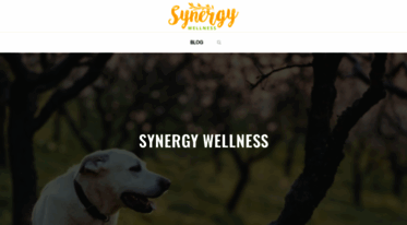 synergyfamilywellnesscentre.com