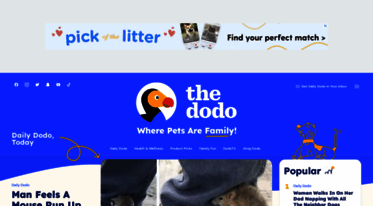 thedodo.com