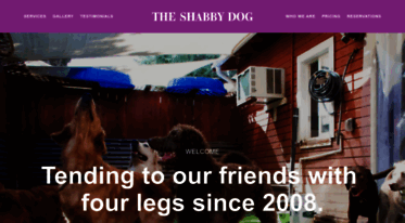 theshabbydog.com