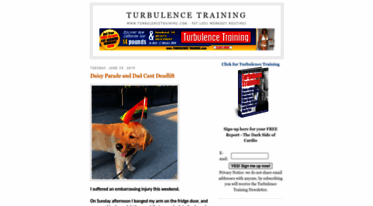 turbulencetraining.blogspot.com