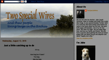 twospecialwires.blogspot.com
