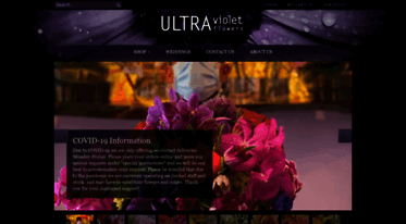 ultravioletflowersdc.com