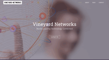 vineyardnetworks.com