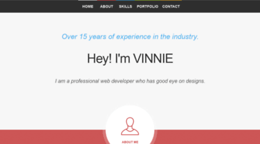 vinnietheprofessional.com