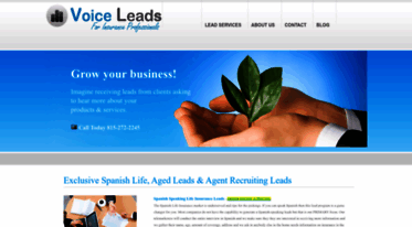 voiceleads.us