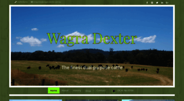 wagra-dexter.com.au