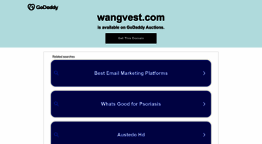 wangvest.com