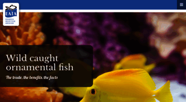wcof.ornamentalfish.org
