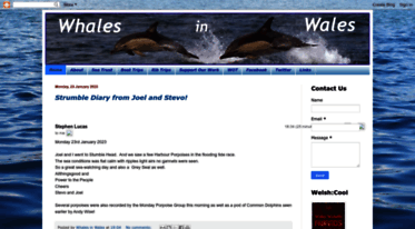 whaleswales.blogspot.com