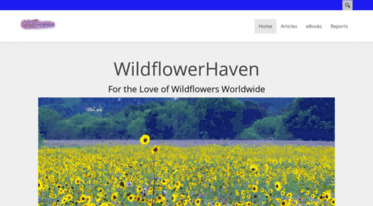 wildflowerhaven.com