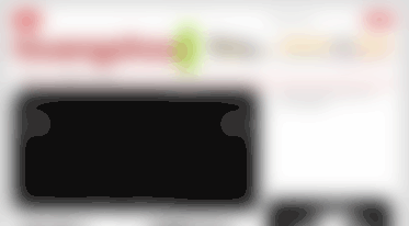 guangzhouinformer.com