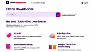 1tiktokdownloader.com