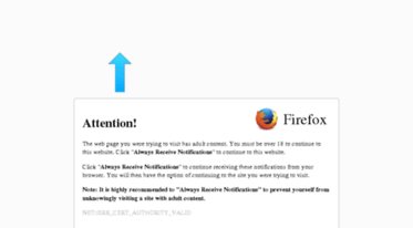 30minutes2income.com