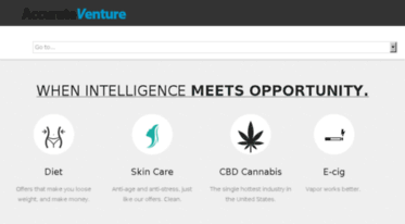 accurateventure.com