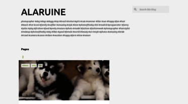 alaruine.com