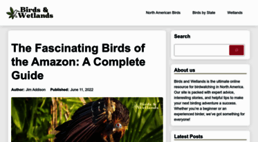 amazonbirds.net