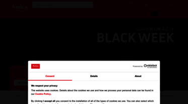 amicainternational.com