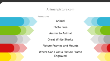 animal-picture.com