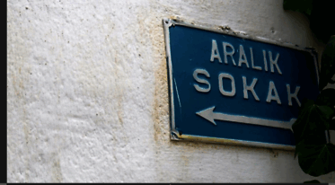 aralik-sokak.blogspot.com