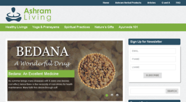 ashramliving.org