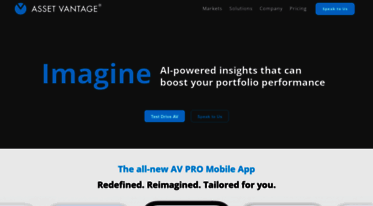 assetvantage.com