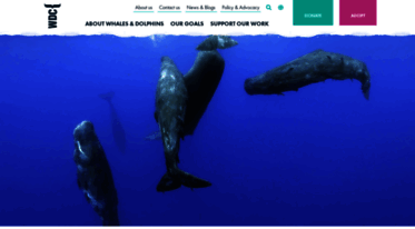 au.whales.org