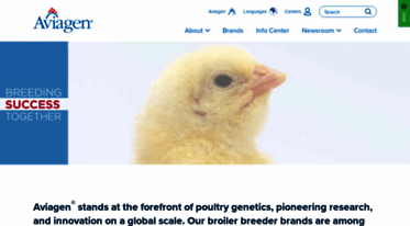 aviagen.com