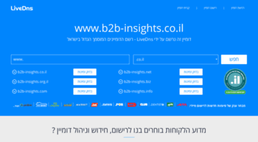 b2b-insights.co.il