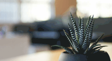 backpaininfoguide.com