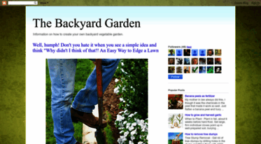 backyard-garden-101.blogspot.com