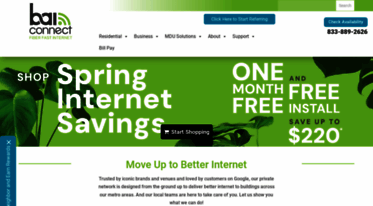 baiconnect.com