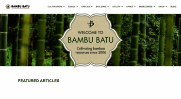 bambubatu.com