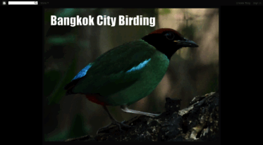 bangkokcitybirding.blogspot.com