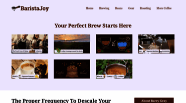 baristajoy.com