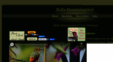 bellahummingbird.com