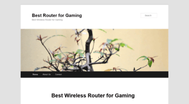 bestwirelessrouterforgaming.com