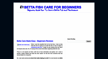 bettafishcareforbegginers.blogspot.com