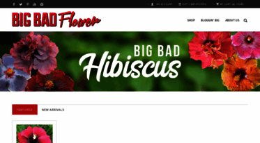 bigbadflower.com