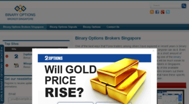 binaryoptionsbrokersingapore.com