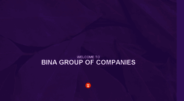 binatech.biz
