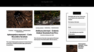 birdspiders.ch