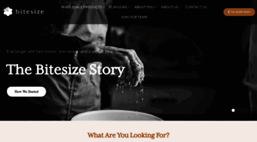 bitesizegroup.com
