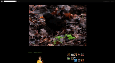 blackbirdgsus.blogspot.com