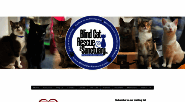 blindcats.org