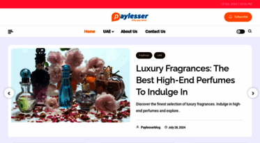 blog.paylesser.com