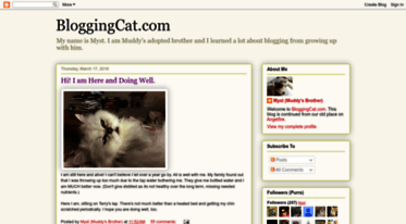 bloggingcat.blogspot.com