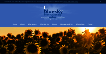 blueskyinternational.com