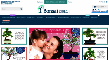 bonsaidirect.co.uk